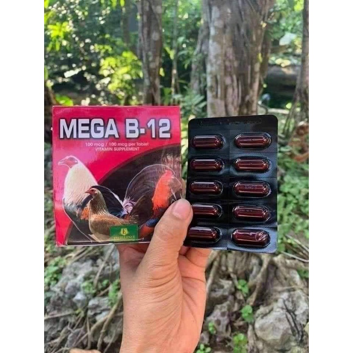 MEGA B12 Tăng bo, tăng nước máu cho gà đá (1 vỉ 10 viên)