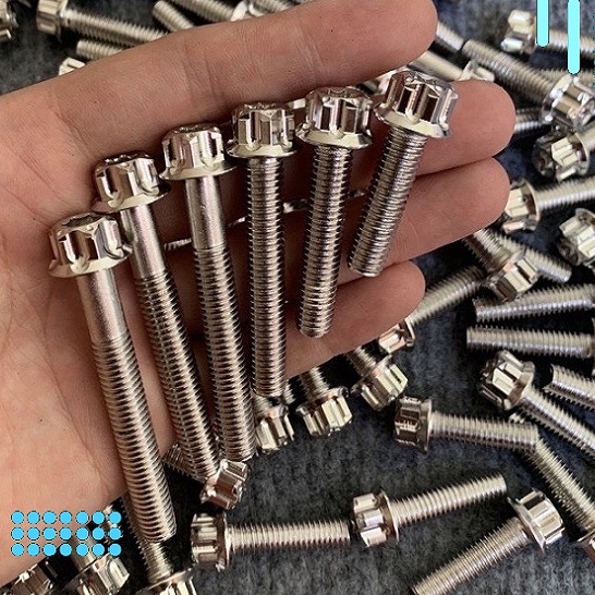 Ốc Salaya ốc 8li full size inox 304 đầu trụ kích cỡ 8li20 8li25 8li30 8li40 8li50 8li60