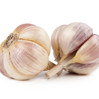 1KG củ tỏi nhiều nhánh lớn