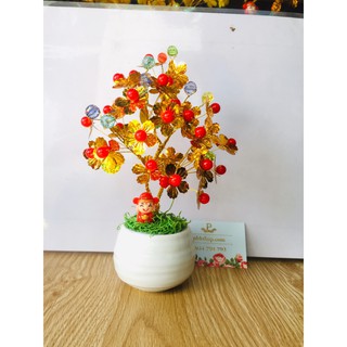 Chậu mai tài lộc ngũ sắc thần tài 20-25cm ms01