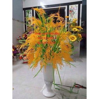 Cành bông lúa 5 bông -80 cm(1 bó 10 cành)