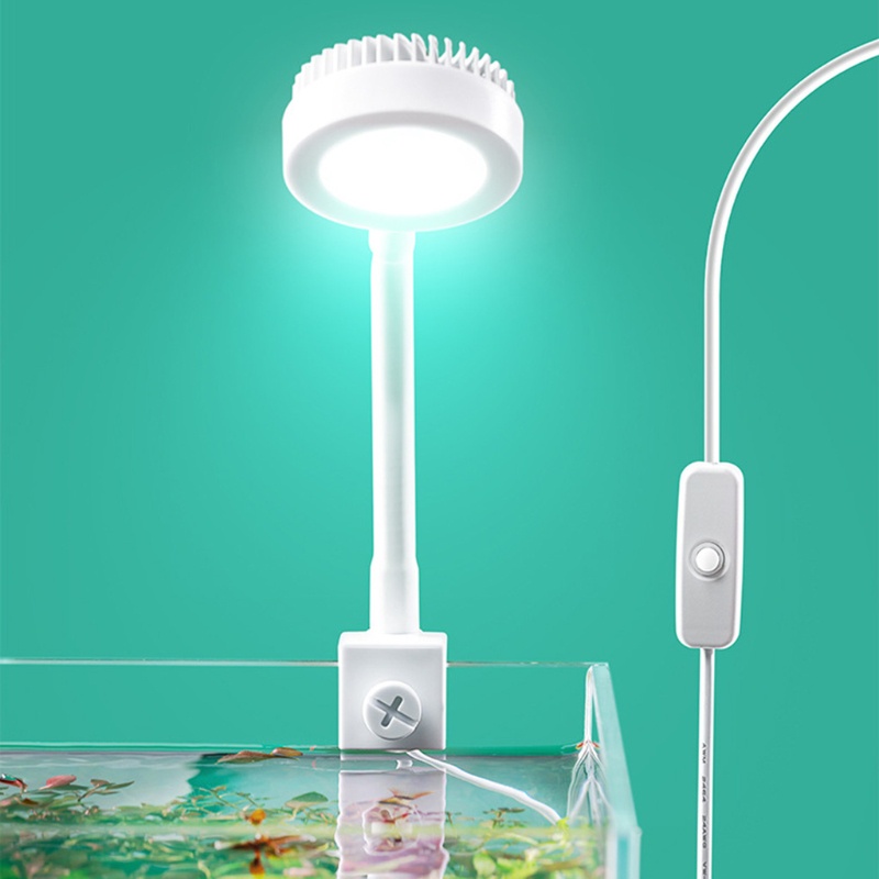 Đèn LED trang trí bể cá