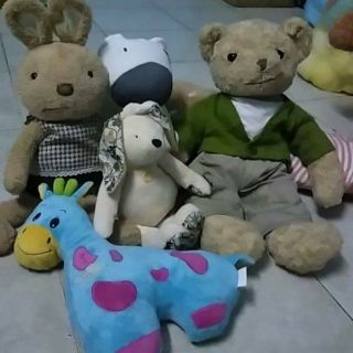 Gấu của hoàng yến