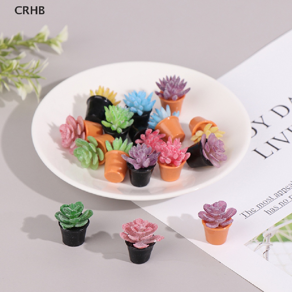 Bộ 5 Chậu Cây Trang Trí Nhà Búp Bê Tỉ Lệ 1: 12 Mới