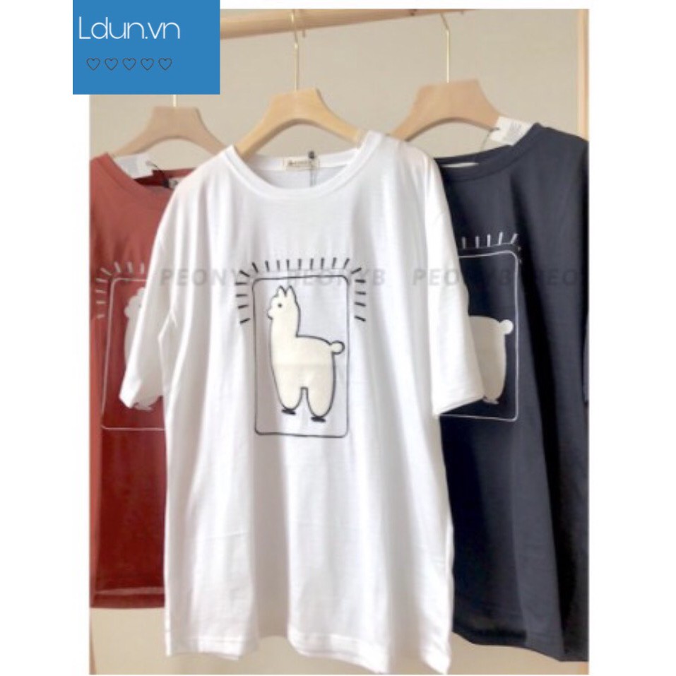 Áo Thun Thêu Cừu PEONYB Nữ 🌸 Phông cổ tròn dáng rộng oversize tay lỡ màu ĐEN | TRẮNG | XÁM Ulzzang HOT 🌸