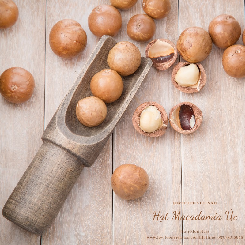 HẠT MACCA ÚC - 500gram HẠT CAO CẤP hàng nhập khẩu trực tiếp tại Australia,có lẫy tách vỏ - Lovi Food Việt Nam | BigBuy360 - bigbuy360.vn