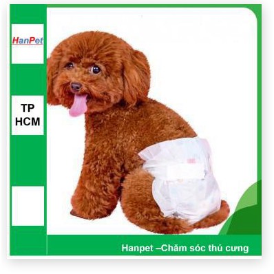 Hanpet.GV- Combo 10 miếng bỉm quần dạng dán chó mèo cao cấp (kiểu bỉm quần) loại siêu thấm ĐỦ SIZE