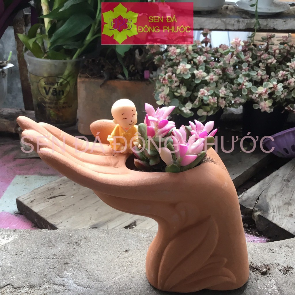 CHẬU ĐẤT NUNG HÌNH BÀN TAY - chậu trồng tiểu cảnh sen đá, xương rồng, cây phong thuỷ văn phòng đẹp