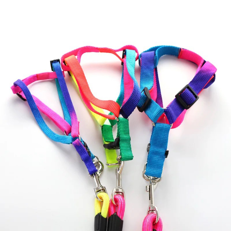 Dây dắt chó mèo 7 màu dành cho thú  - Có yếm đi kèm