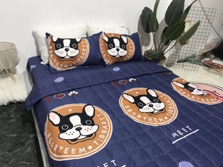 Bộ Chăn Ga Gối Hè Thu 5 Món - Chó Meet