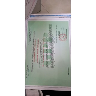 Đại tràng K9