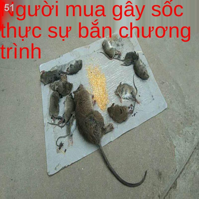 dính chuột siêu mạnh gia dụng Ban bán buônL