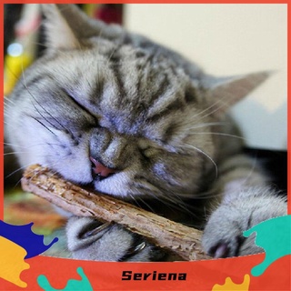 SET 5 QUE GỖ CATNIP BẠC HÀ CHO MÈO