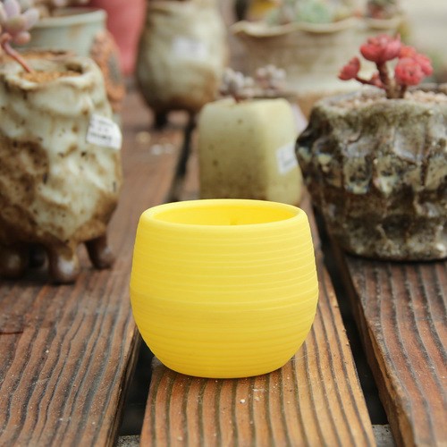 Chậu cây nhựa mini nhiều màu sắc tươi tắn thích hợp trang trí nhà cửa