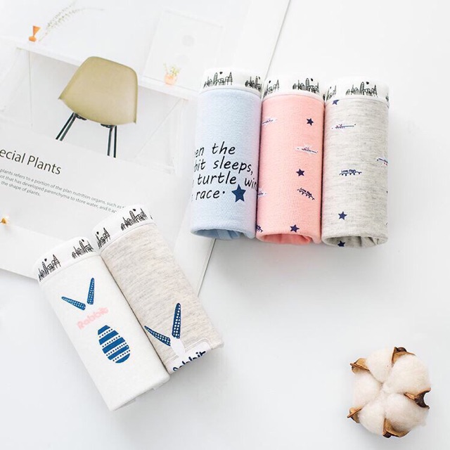 [ Mã FAMAYWA2 giảm 10K đơn 50K] Túi Zip 5 Chiếc Quần Lót Cotton Nữ Cute Cao Cấp | BigBuy360 - bigbuy360.vn