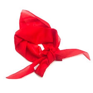 Khăn quàng đỏ học sinh (1 cái )