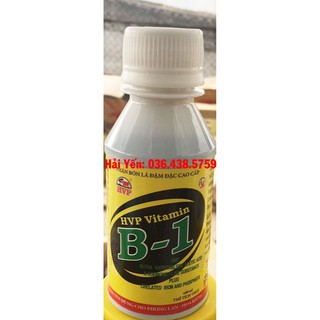 B1 phân bón lá HVP 100ml