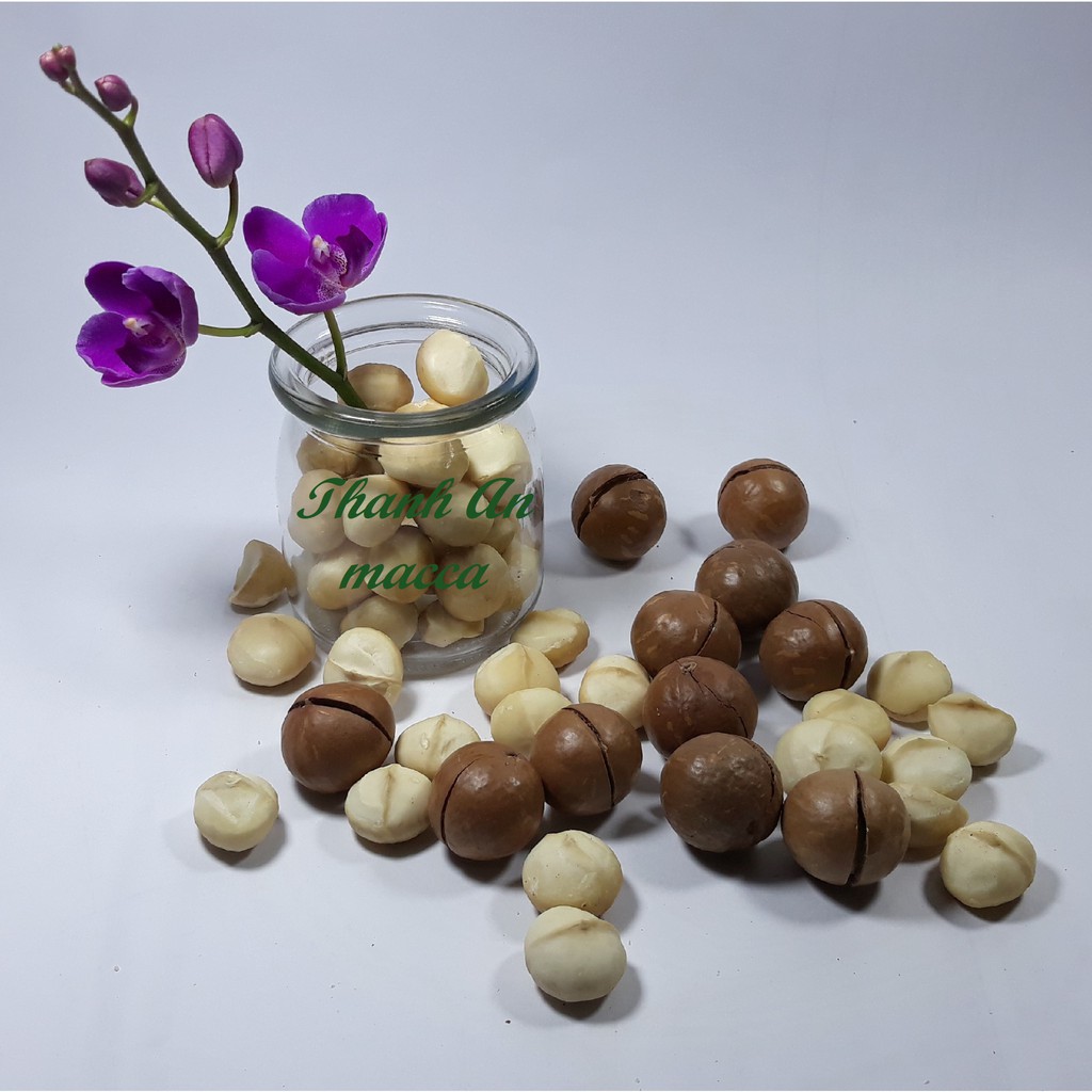 [Mã GROSALE2703 giảm 8% đơn 250K] Thanh An Macca Sạch Size Trung 500gr, Sấy Nứt Vỏ Lâm Đồng, Macadamia Kèm Lẫy | BigBuy360 - bigbuy360.vn