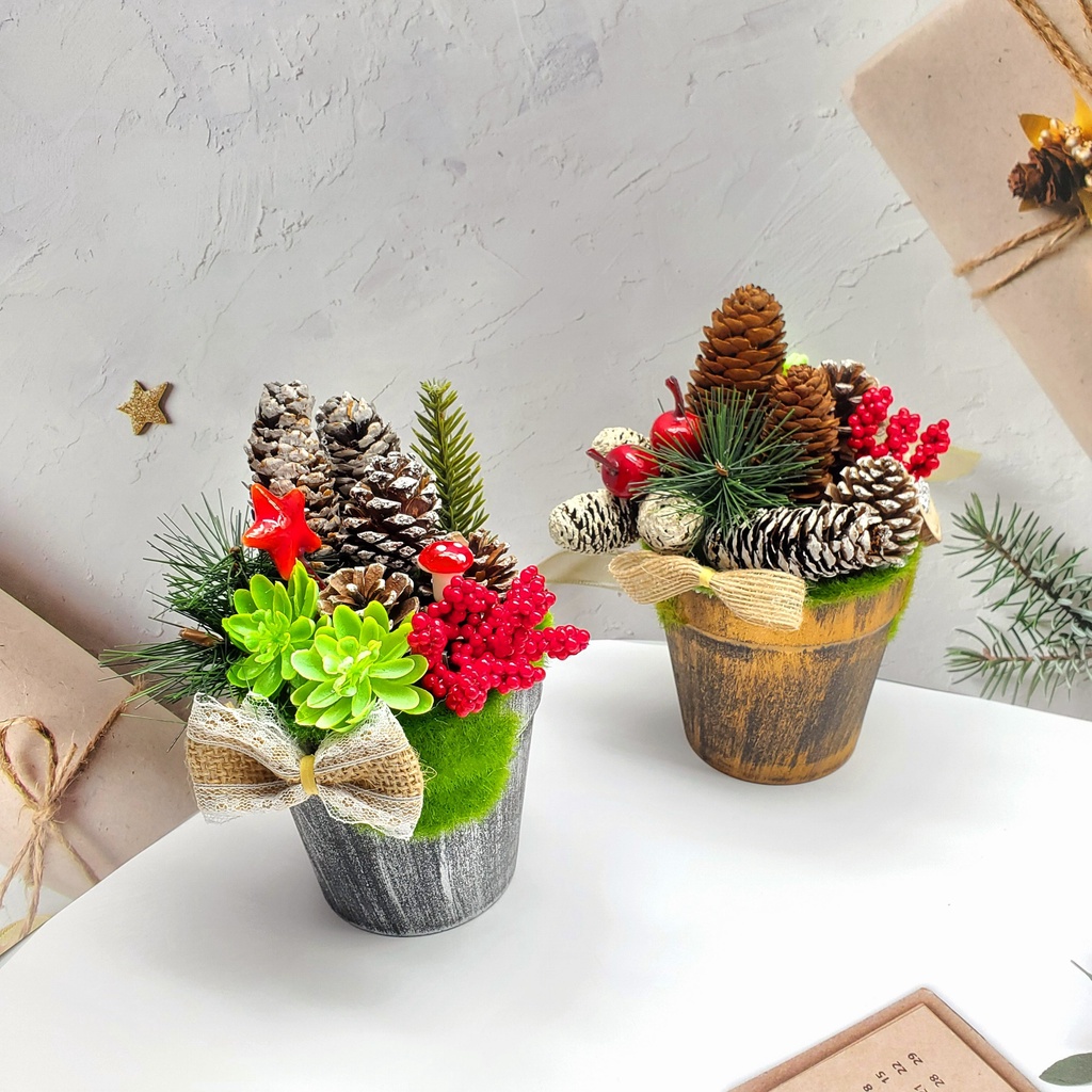 Chậu Thông Giáng Sinh Để Bàn Trang Trí TNM11, TNM12