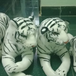 Thú bông Hổ trắng dài 53cm, 73cm