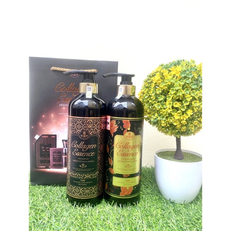 [CHÍNH HÃNG] Dầu Gội xả cặp yody Essence Colagen
