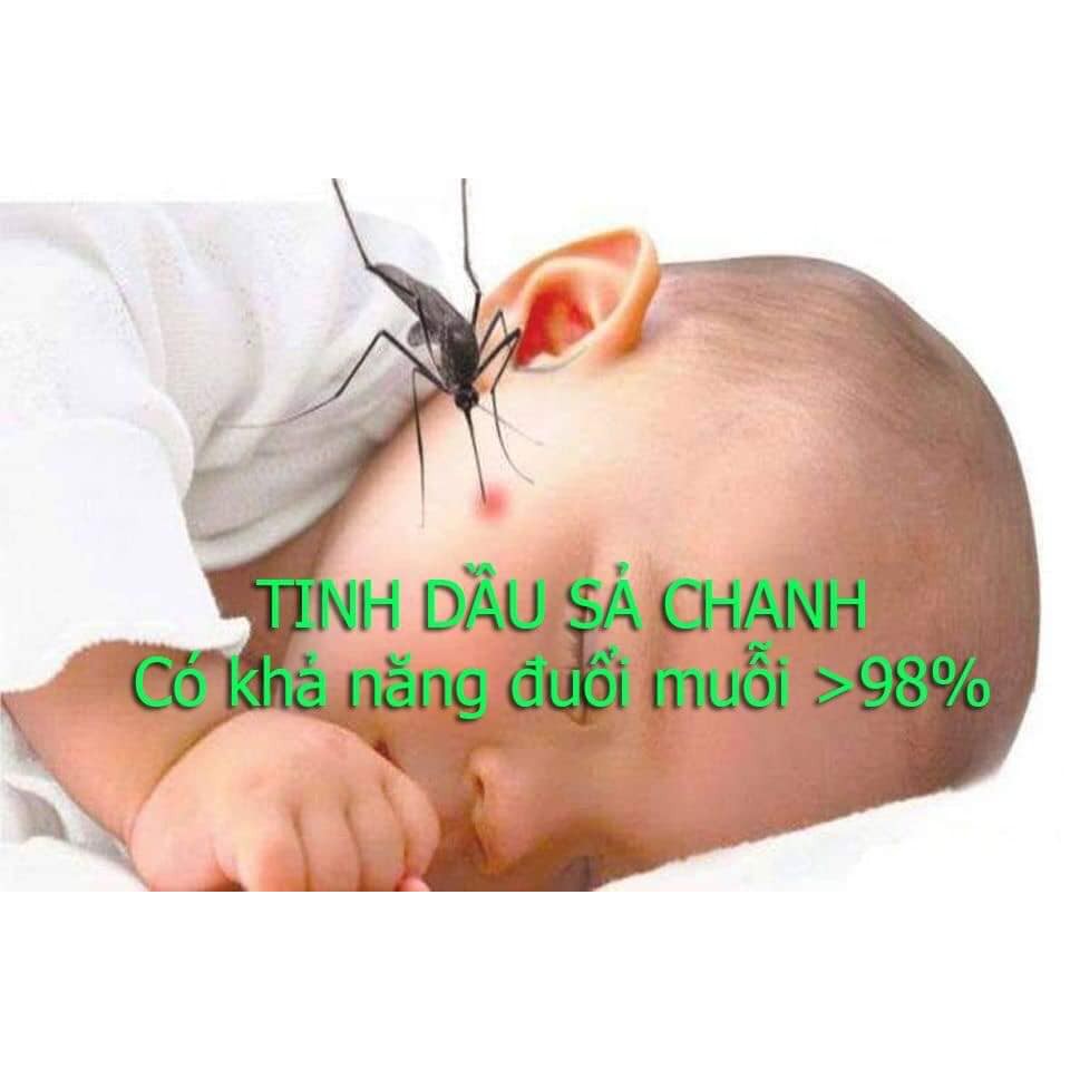 Tinh dầu sả chanh Lê Quê 50ml