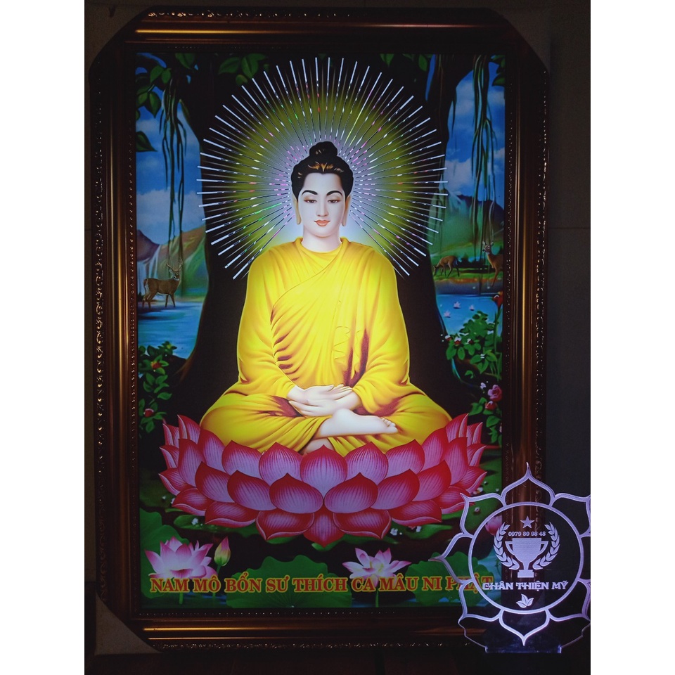 Tranh điện Phật Thích Ca_PTCT05