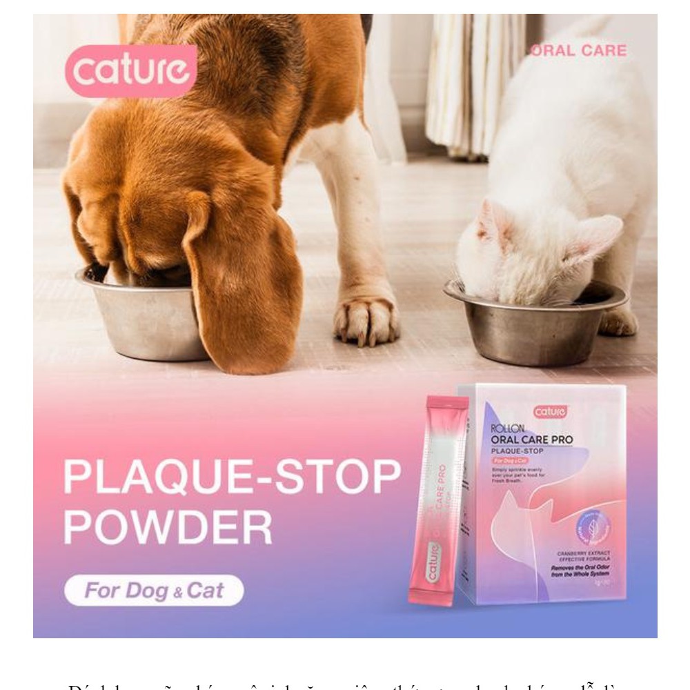 Cature oral care pro vệ Sinh Răng Miệng Cho Chó Mèo Thơm Miệng Loại Bỏ Mảng Bám Dạng Bột
