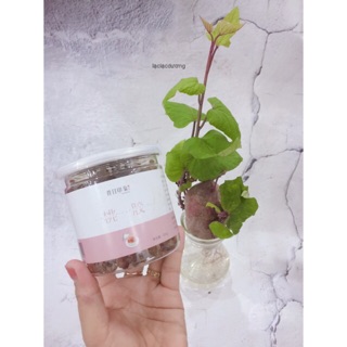 Nhựa đào Vân Nam hộp 250gr