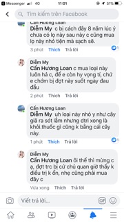 TINH CHẤT HOA CỨT LỢN 20ml