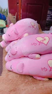 Gấu bông lợn hồng