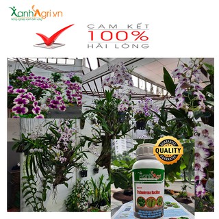 NẤM TRICHODERMA KHẮC TINH VÀNG LÁ THỐI RỄ