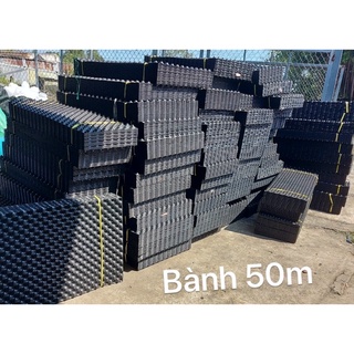 [ Được Kiểm Hàng ] Bành 50m Vĩ bầu ươm thông minh Cao từ 20cm,30cm,40cm,50cm,60cm