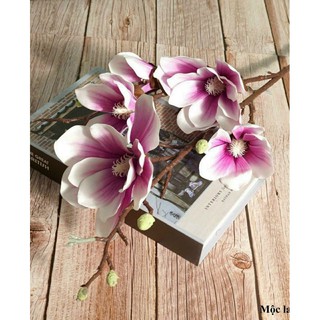 Mộc Lan Cao Su (5 Bông To HÀNG CAO CẤP Loại 1)