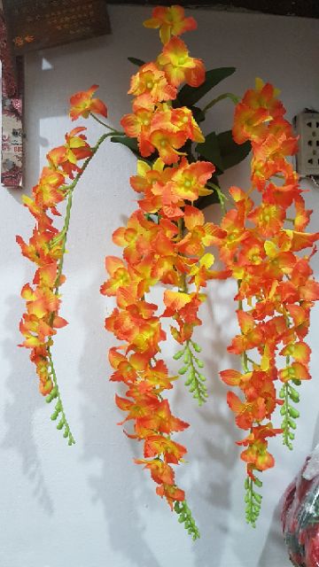 Giỏ hoa lan treo tường