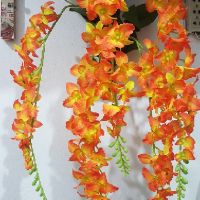 Giỏ hoa lan treo tường