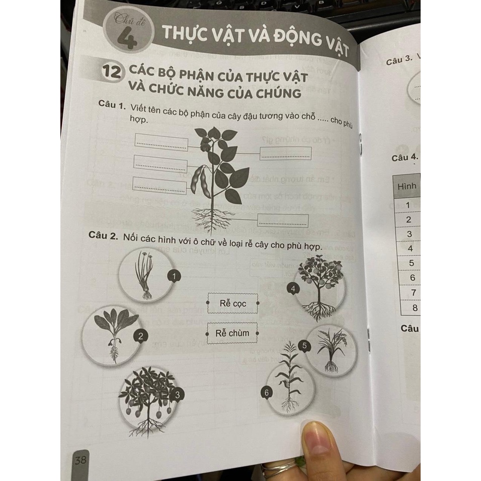 Sách - Vở bài tập tự nhiên và xã hội 3 ( Cánh diều ) + Bán kèm 1 quyển Bé tập tô màu