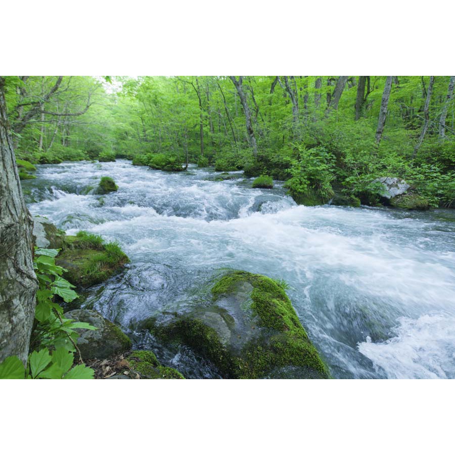 Tranh 3d thác nước chảy trong lành hiền hòa vô tình tạo ra bức tranh phong thủy vô cùng ngoạn mục