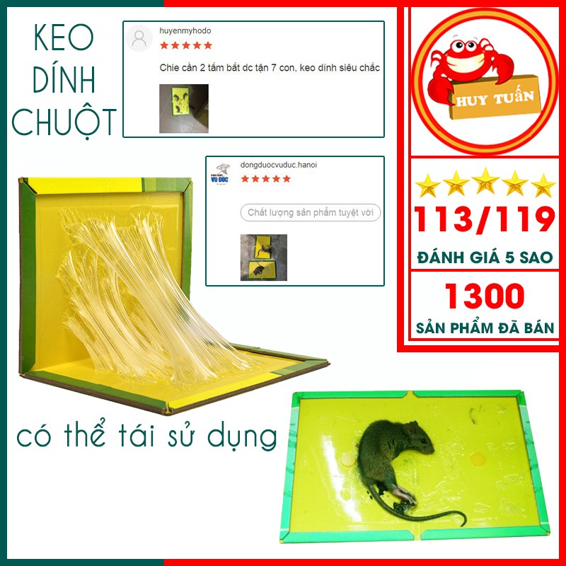 Keo dính chuột - keo bẫy chuột siêu dính có thể tái sử dụng.aquyen