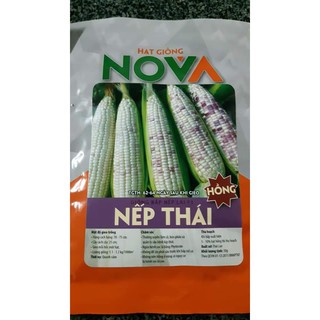 Hạt Giống Bắp Ngô Nếp Thái_Ngọt, Dẻo Như Cơm Nếp_300 Hạt