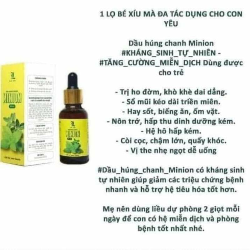Dầu húng chanh minion