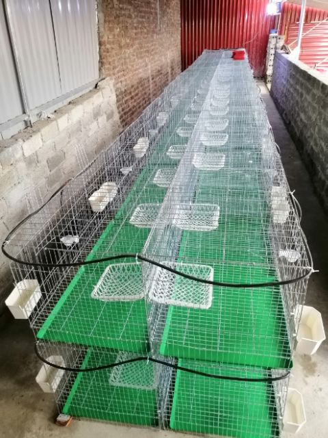 Lồng 4,2kg cửa thưa nóc thưa chưa phụ kiện