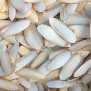 1 MIẾNG Mai mực / nan mực size nhỏ giá rẻ cho vẹt, bọ, hamter