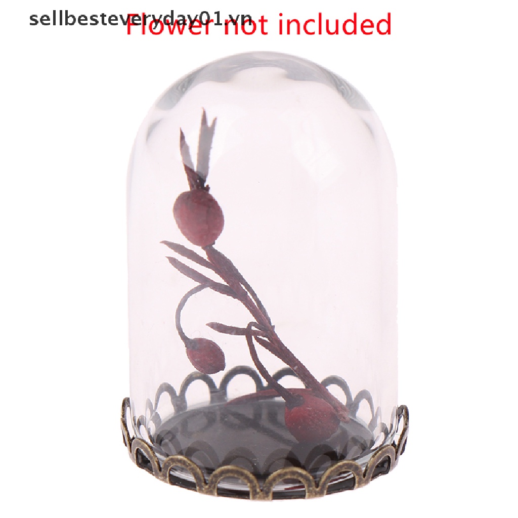 Mô Hình Vòm Kính Có Đế Kim Loại 2cm Trưng Bày Trang Trí Nhà Búp Bê 1 / 12