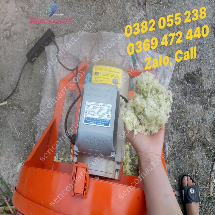 Máy thái chuối mịn băm cỏ voi băm rau cho gà vịt trâu bò ăn