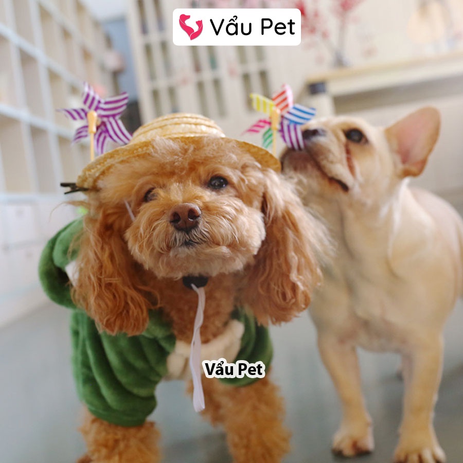 Áo cho chó mèo Bộ lông khủng long - Quần áo cho chó poodle, con, lớn, mèo, thú cưng_Petlover