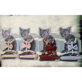 Bộ dây dắt mèo cổ bụng kèm chuông và nơ thời trang (dây tròn) 0.6x130cm