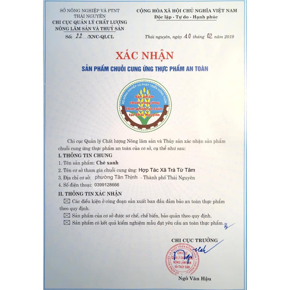 Trà Thái Nguyên Đặc Biệt - Trà Xanh Từ Tâm -  Trà Nõn Tân Cương 100g | BigBuy360 - bigbuy360.vn