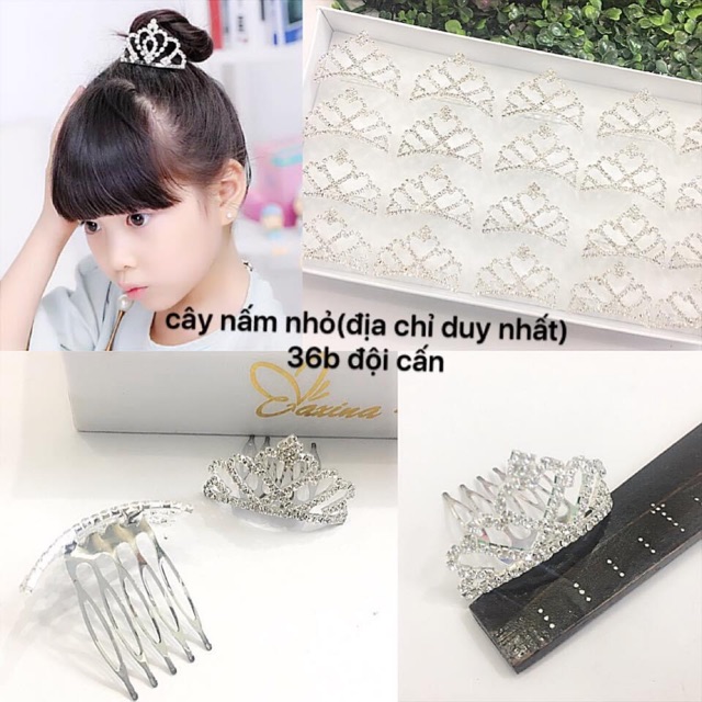 Bờm đá Vượng miện trẻ em