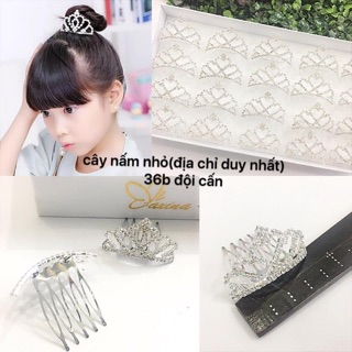 Bờm đá Vượng miện trẻ em